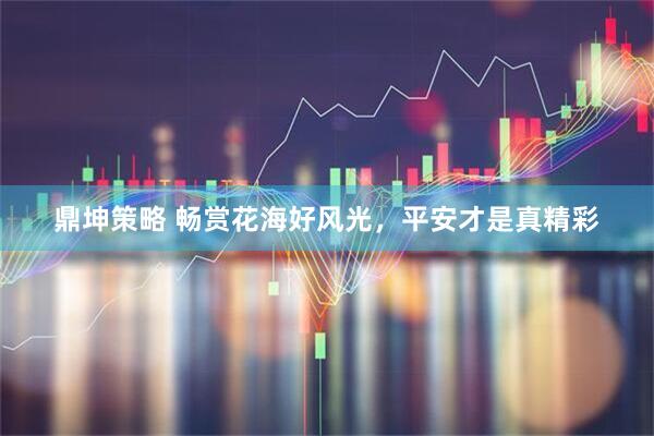 鼎坤策略 畅赏花海好风光，平安才是真精彩